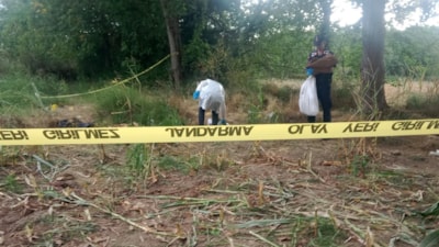 Düzce'de tarlada bulunan kafatası ve kemikler jandarmayı harekete geçirdi