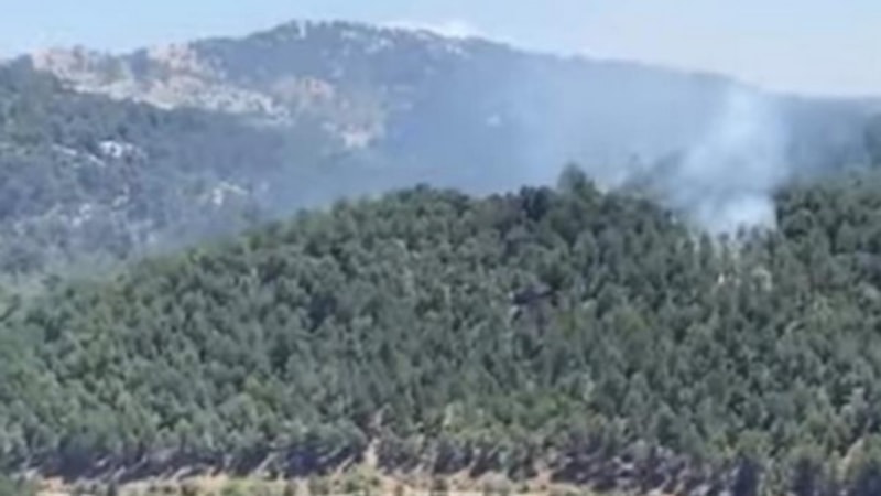 Aydın'da orman yangını büyümeden söndürüldü