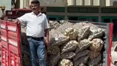 CHP'li İlçe Başkanı, çuvallar dolusu patatesi köy meydanına döktü: Bakanlık konuyu takibe aldı