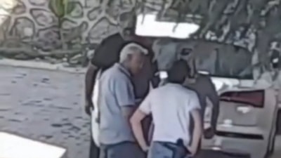 Bursa'da şaman ayini için evinde keçi ve horoz kesti: O anları sosyal medyada paylaştı