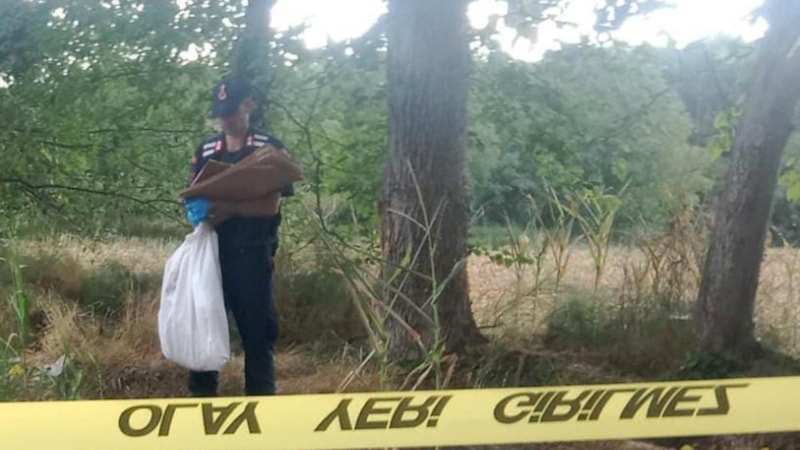Samsun'da kayboldu, Düzce'de kemikleri bulundu