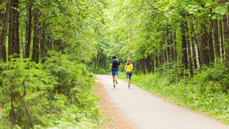 İstanbul'un en iyi 3 doğa yürüyüşü rotası