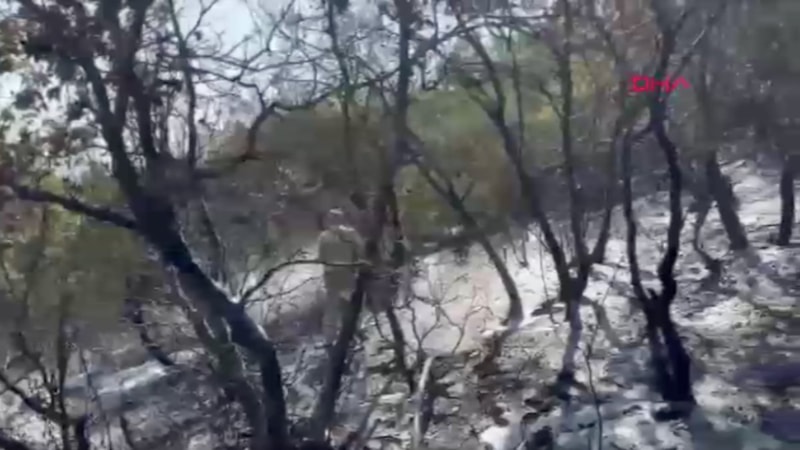 Bursa'da yangın paniği: 1 saatte kontrol altına alındı