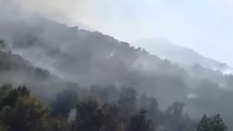 Hakkari'de orman yangını