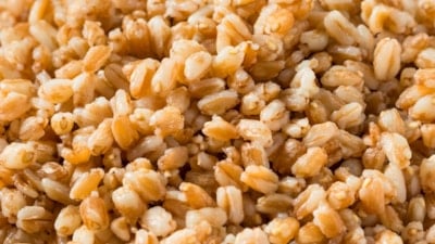 Medeniyete yön veren en eski tahıl: Ferro