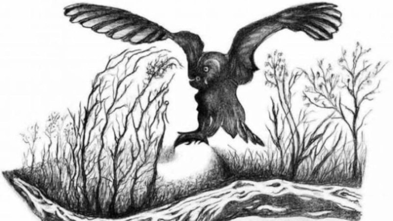 Gizli kadına bakın: Optik illüzyonda ustaca gizleniyor...