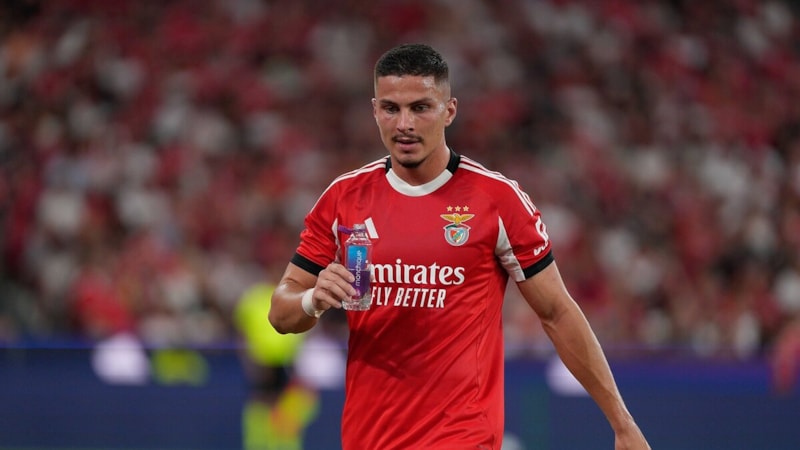 Franjo Ivanovic: Fenerbahçe bize çok baskı uyguladı