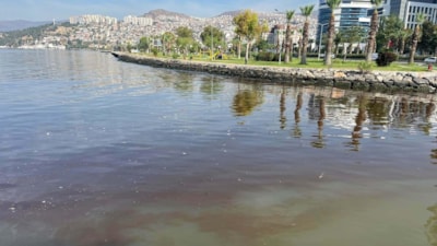 İzmir Körfezi yeniden kötü kokuyor