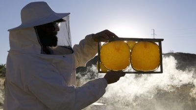 AB tescilli Bingöl balı yurt dışına açılıyor
