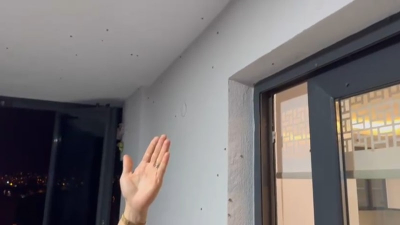 Her an eve girebilir! Kelebek sanmayın; Vampir gibi emiyor...