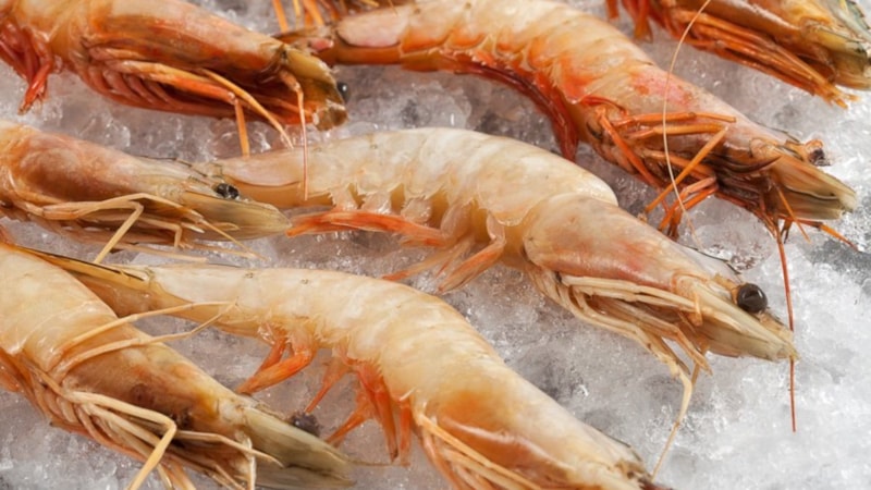 ABD’de radyoaktif karides alarmı: 9 eyalette ürünler geri çağrıldı