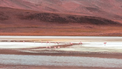 Görünümleri ve özellikleri ile büyülüyorlar: Dünyanın en tuhaf 8 gölü