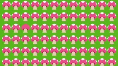 IQ'nuz yüksek mi? İllüzyondaki farklı mantarı fark edin...