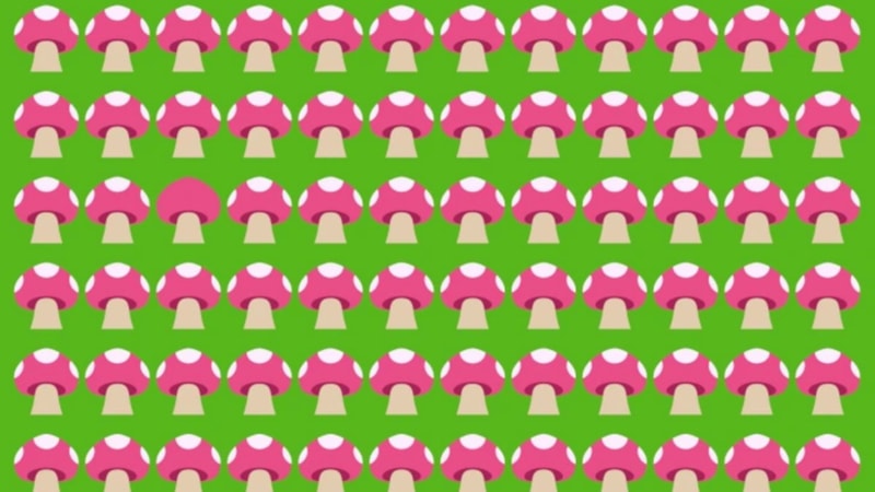 IQ'nuz yüksek mi? İllüzyondaki farklı mantarı fark edin...