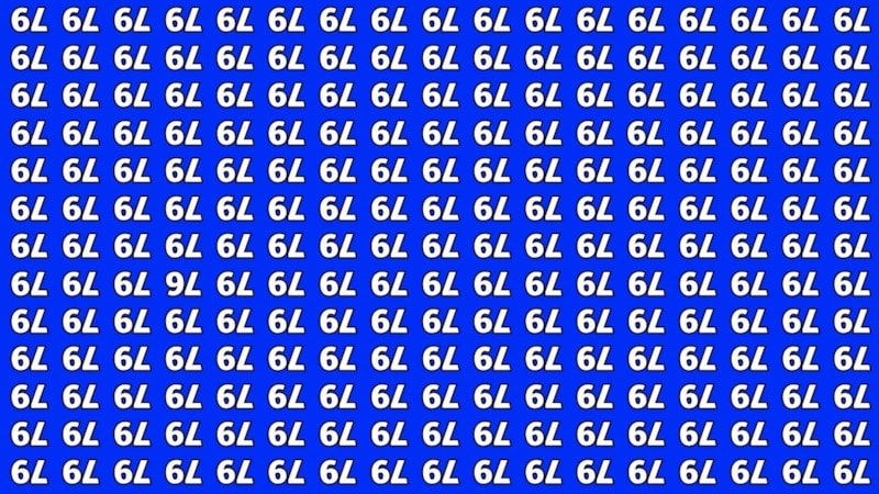 IQ testi: 79’ların arasında gizlenen 76’yı yalnızca zeka küpleri görebiliyor