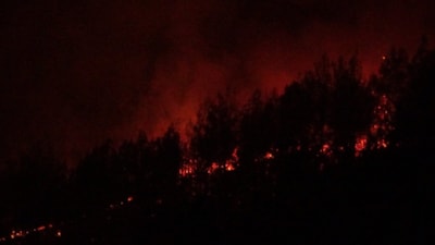 Çanakkale'de orman yangını çıktı: Büyük ölçüde kontrol altında
