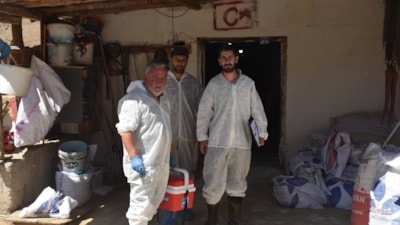 Gümüşhane'de şap hastalığıyla mücadele sürüyor