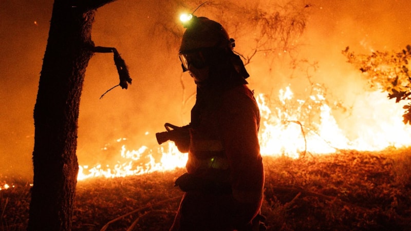 İspanya'da orman yangınları ile mücadele: 407 bin hektarlık alan kül oldu
