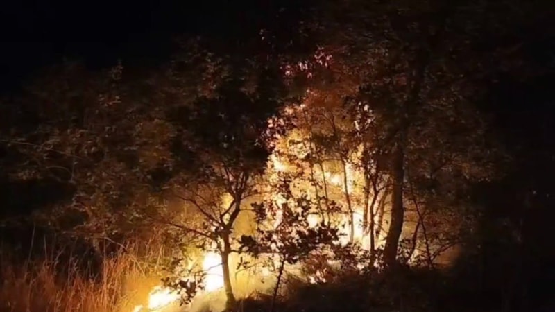 Balıkesir'de çöplükte başlayan yangın araziye sıçradı