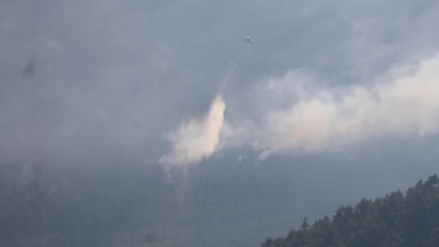 Denizli Pamukkale'deki orman yangını kontrol altına alındı