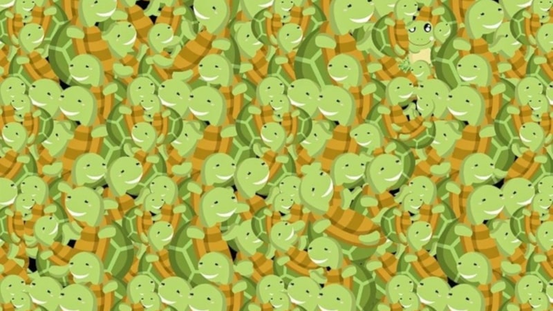 Yüksek IQ'lular için illüzyon testi: Bir kurbağa gizleniyor...