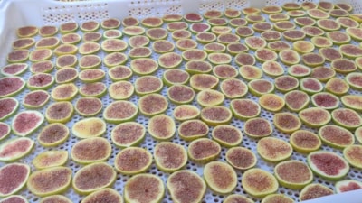 Manisa’dan yeni tat: İncir cipsi