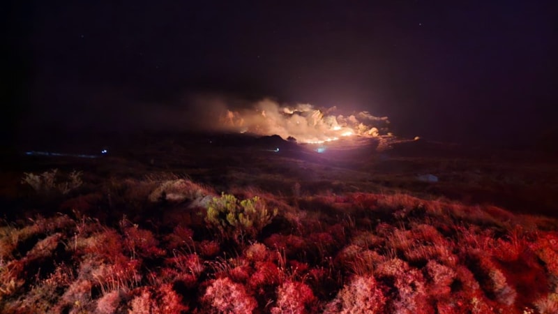 Balıkesir'in Marmara Adası'nda orman yangını