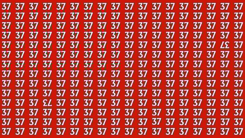 Gören dahiyim diyor: 37’lerin arasındaki 73 sayısını bulun