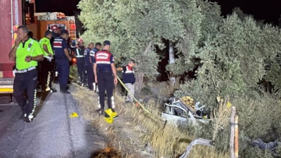 Sokak köpekleri yine cana mal oldu: Çarpmamak için manevra yapan araç kaza yaptı