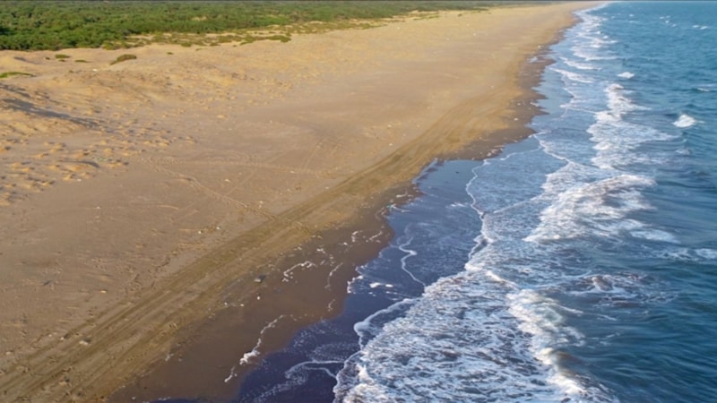 AB Raporu: Türkiye çevresindeki denizlerde sıcaklık tarihi zirvede