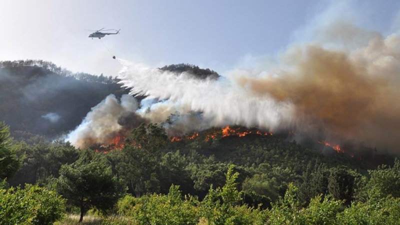 Türkiye'de yangınlar ile mücadele: Hafta sonu 85 yangın çıktı