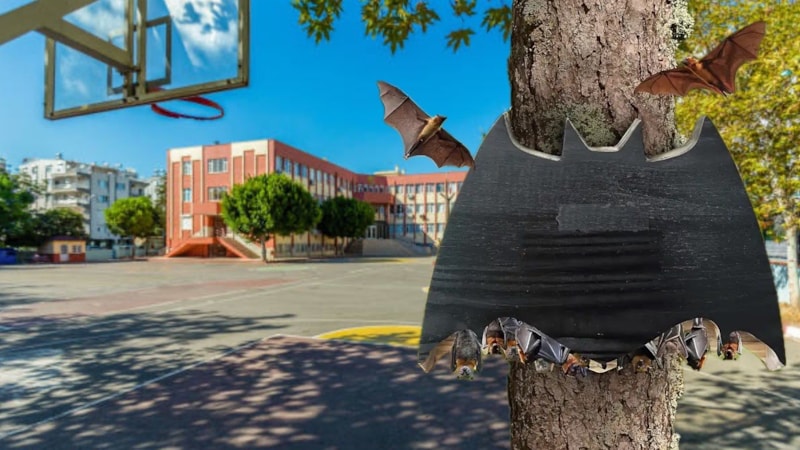 Fransa’da okul bahçelerine yarasa yuvaları kuruluyor: İşte sebebi