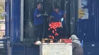 İstanbul'daki zincir market çalışanları onlarca kilo domatesi çöpe döktü