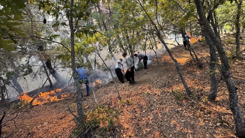 Adana'da orman yangını