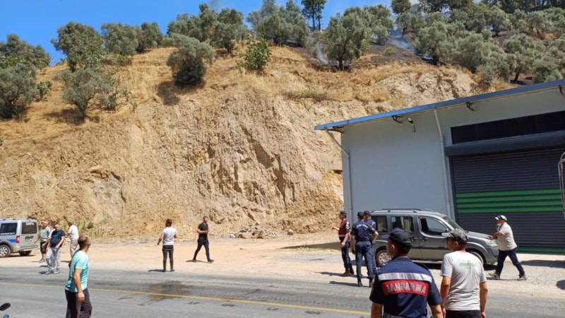 Aydın'da zirai alanda korkutan yangın: Havadan ve karadan müdahale sürüyor