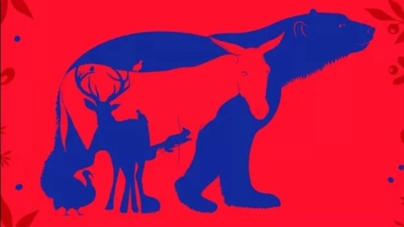 Detaylara bakın, IQ'nuzu kanıtlayın: 8 hayvan gizli