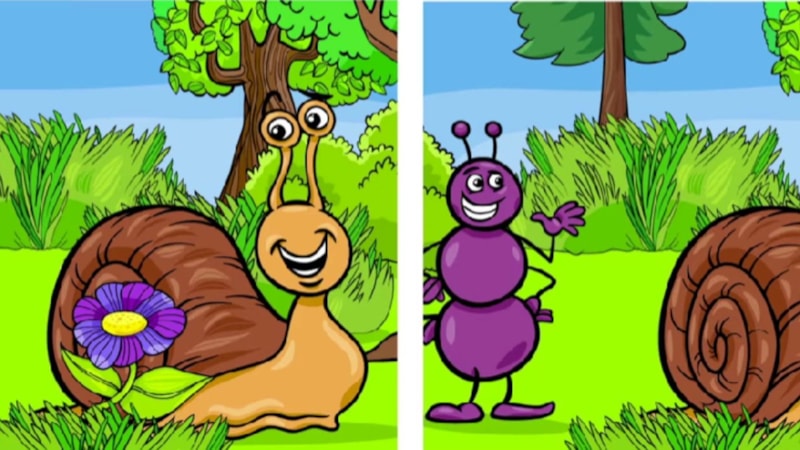 Dikkat testi: İki resim arasındaki 5 farkı bulmak için 10 saniyeniz var…