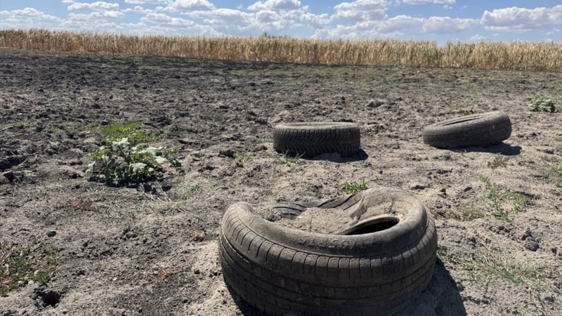 Edirne'deki Yağcılı Göleti kuraklık nedeniyle kurudu