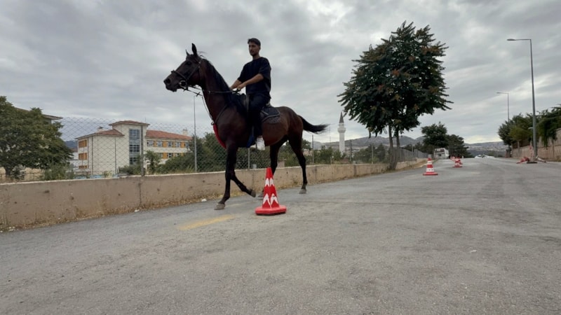 Tokat’ta direksiyon sınavı heyecanını atla parkur geçerek yendi