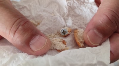 Sinop'ta aldığı ekmekten vida çıktı: Neredeyse dişimi kıracaktı