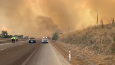 Bursa'da ormanlık alanda yangın çıktı