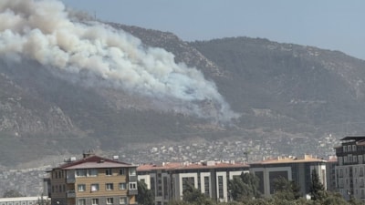 Hatay’da orman yangını