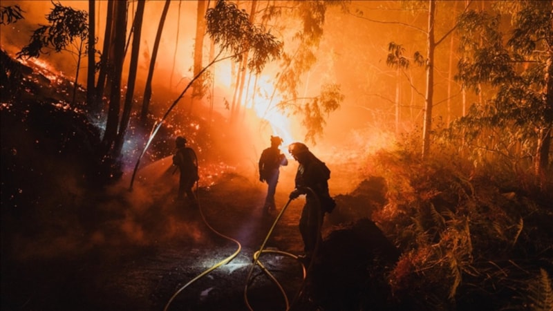AB, yakın tarihinin en büyük orman yangınları sezonunu yaşadı