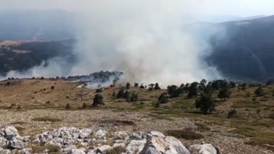 Amasya'da orman yangını paniği