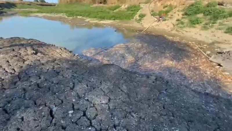Çanakkale Kocabaş Çayı'nda kuraklık: Toplu balık ölümleri yaşanıyor