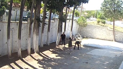 Denizli'de Belediye Başkanı taş döşemek istemeyen zabıtaları sopayla dövdü