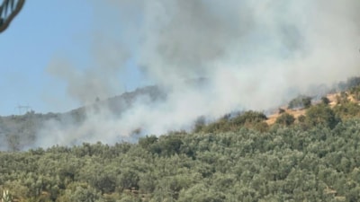 Bursa'da orman yangını