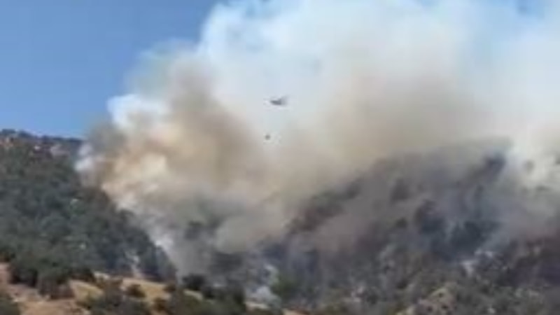 Denizli'de çıkan orman yangınına müdahale sürüyor