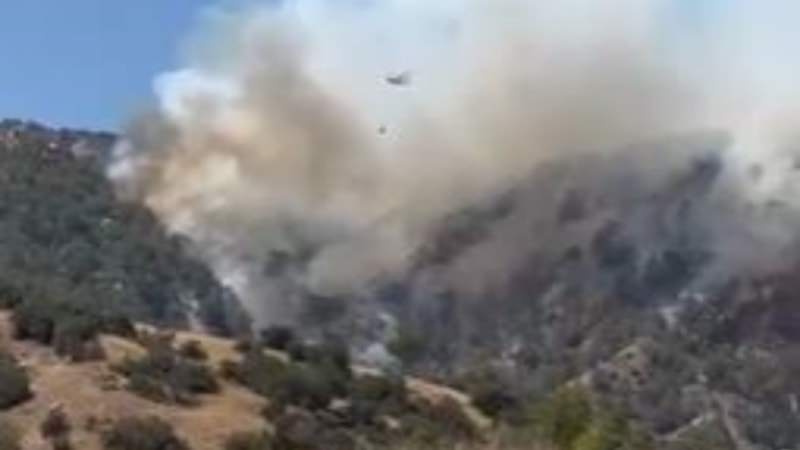 Denizli Buldan'da başlayan yangın Aydın'a sıçradı