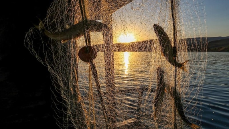 Eylül ayı balıkları: Hem lezzetli, hem faydalı! Mutlaka tüketin...